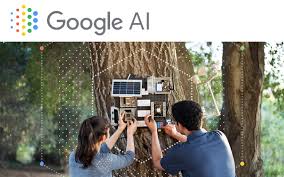 Google AI Residency Program For Young Graduates l Application Guide