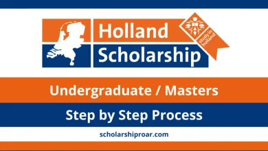 Holland scholarship for international students 2025